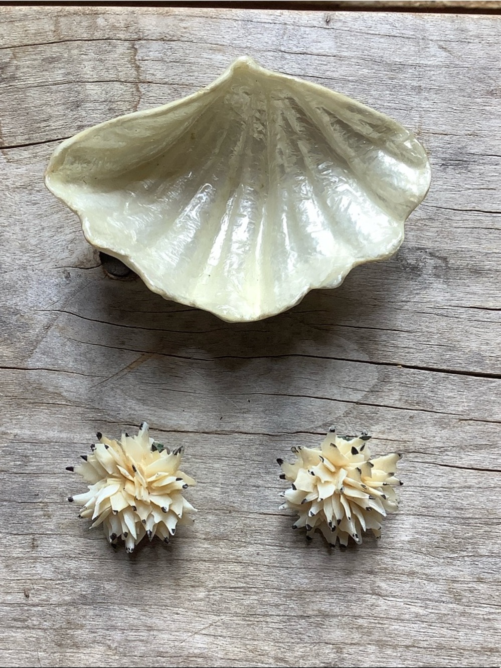 Vintage Shell Earrings w Shell Replica Trinket Dish